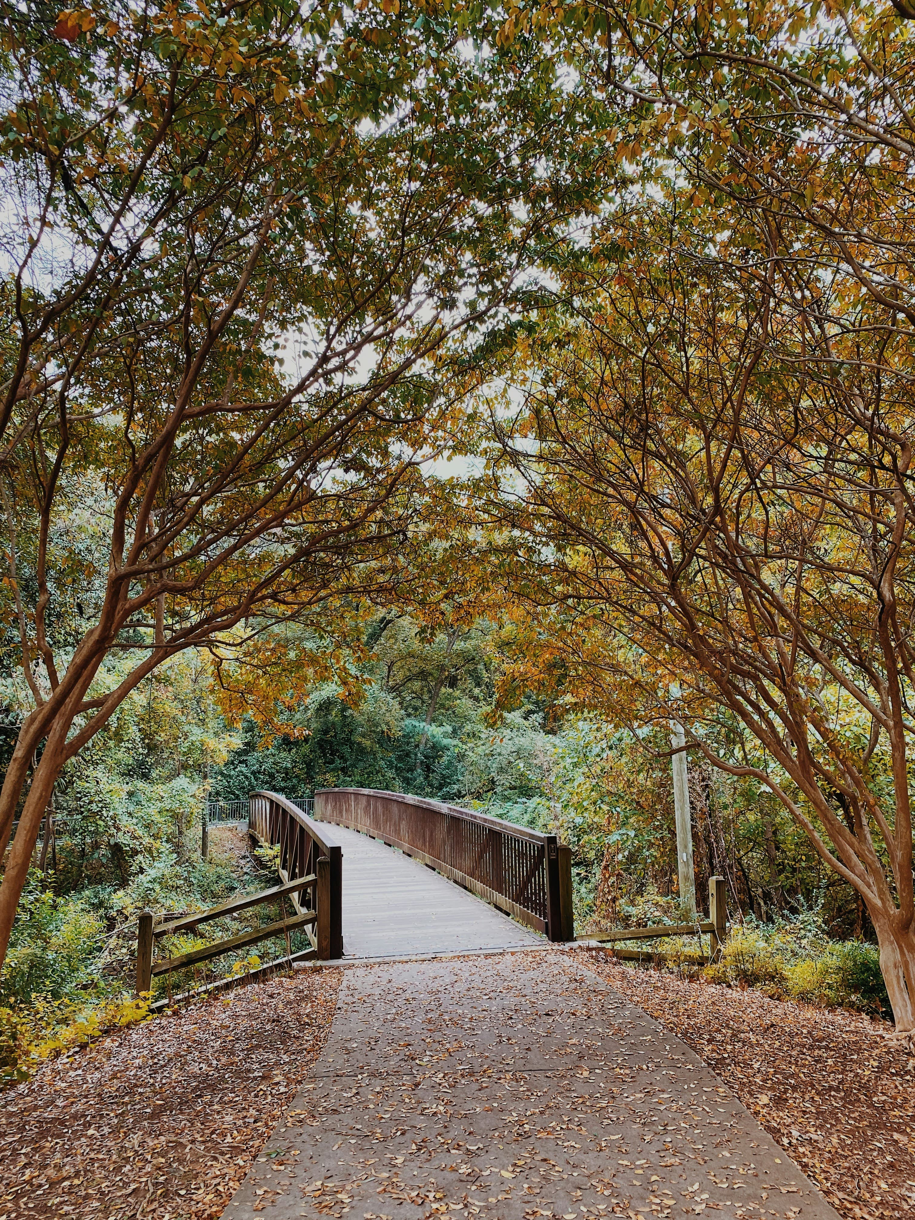 Longevity Care Background